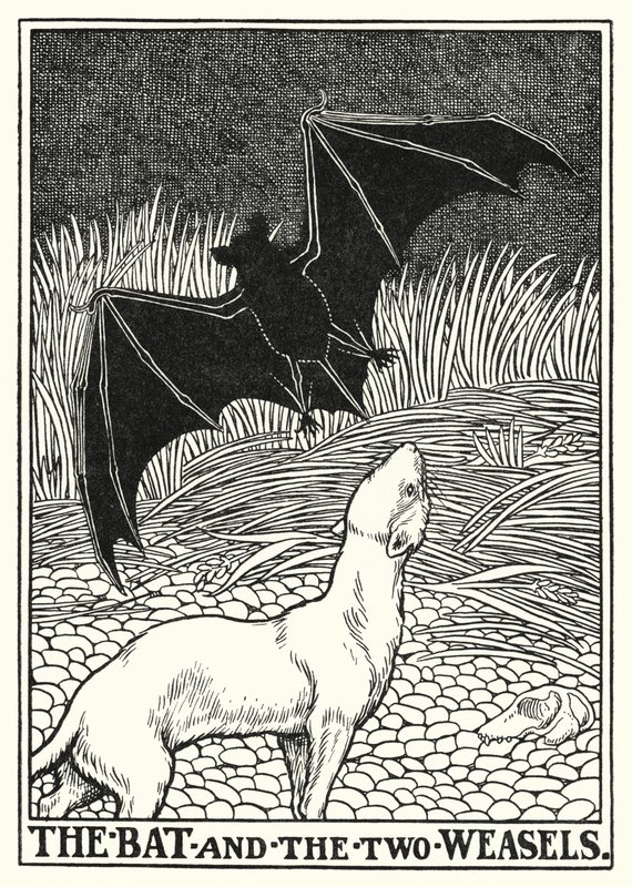 Bajki La Fontaine: Nietoperz i dwie łasice (litos) autorstwa Percy James Billinghurst