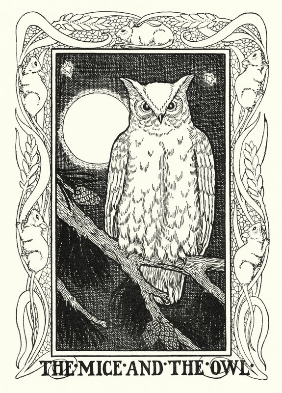 Bajki La Fontaine: Myszy i sowa (lito) autorstwa Percy James Billinghurst
