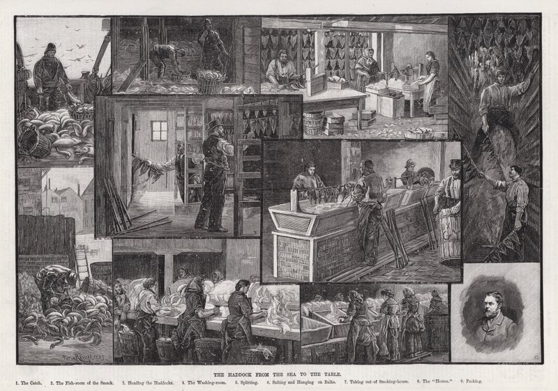 Plamiak od morza do stołu (rycina) autorstwa Percy Robert Craft