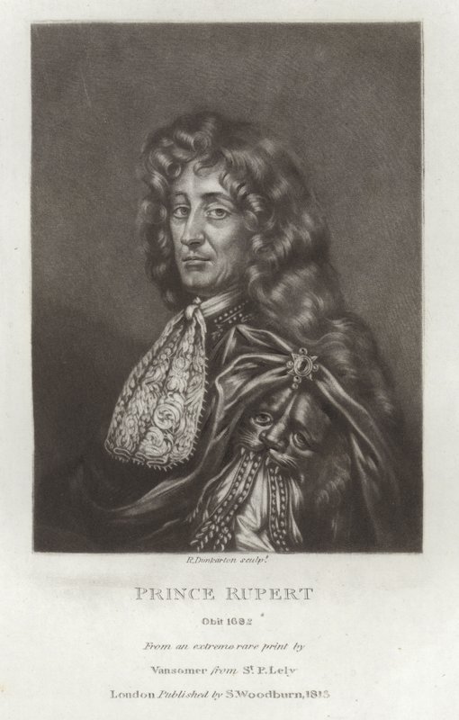 Książę Rupert autorstwa Peter Lely