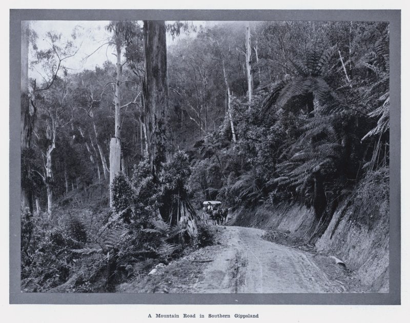 Górska droga w południowym Gippsland (zdjęcie czarno-białe) autorstwa Photographer Australian