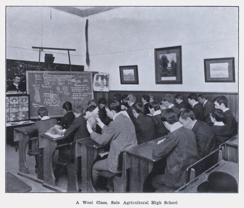 Klasa wełny, sprzedaż Liceum Rolnicze (zdjęcie czarno-białe) autorstwa Photographer Australian