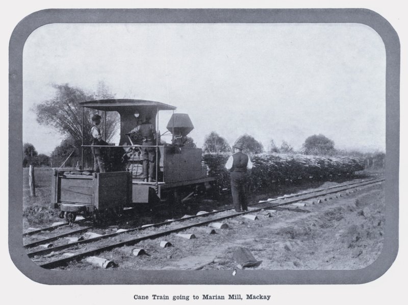 Cane Train jadący do Marian Mill, Mackay (zdjęcie czarno-białe) autorstwa Photographer Australian
