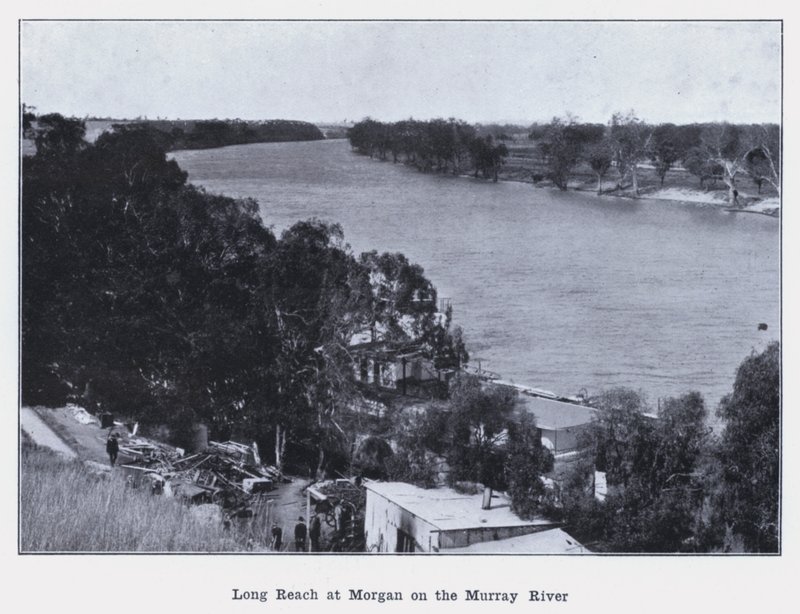 Long Reach w Morgan nad rzeką Murray (zdjęcie czarno-białe) autorstwa Photographer Australian