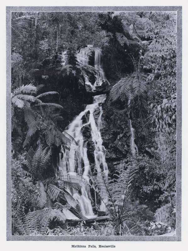 Wodospad Mathinna, Healesville (zdjęcie czarno-białe) autorstwa Photographer Australian