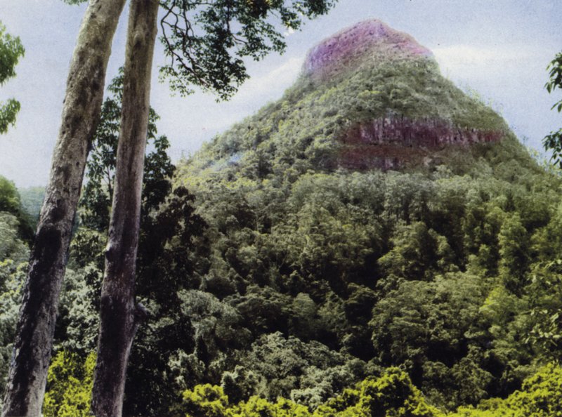 Queensland, Australia: Mt Cordeaux (na zdjęciu) autorstwa Photographer Australian