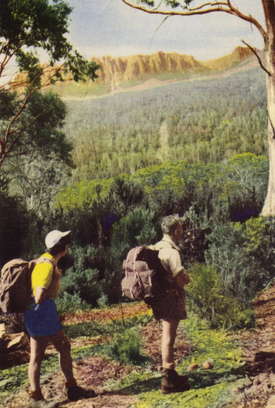 Tasmania: Wędrowcy w pobliżu Olimpu (kolorowe zdjęcie) autorstwa Photographer Australian