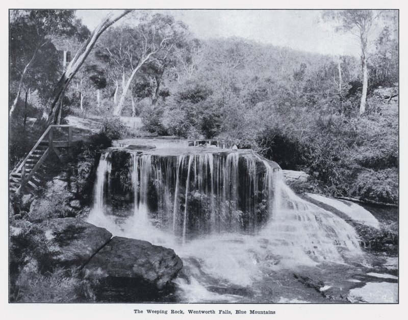 The Weeping Rock, Wentworth Falls, Blue Mountains (zdjęcie czarno-białe) autorstwa Photographer Australian