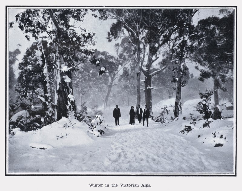 Zima w Alpach Wiktoriańskich (zdjęcie czarno-białe) autorstwa Photographer Australian