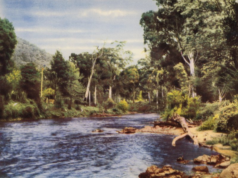 Rzeka Yarra (zdjęcie kolorowe) autorstwa Photographer Australian