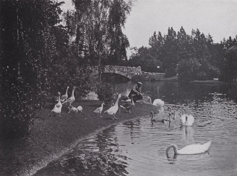 Jezioro, Park Beacon Hill, Wiktoria, Kolumbia Brytyjska (zdjęcie czarno-białe) autorstwa Photographer Canadian