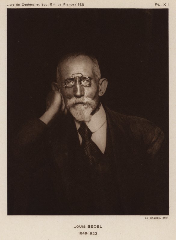 Ernest Marie Louis Bedel, francuski entomolog (zdjęcie czarno-białe) autorstwa Photographer French