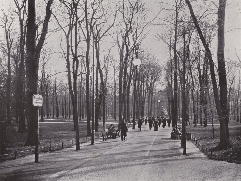 W Tiergarten, Ahornsteig (zdjęcie czarno-białe) autorstwa Photographer German