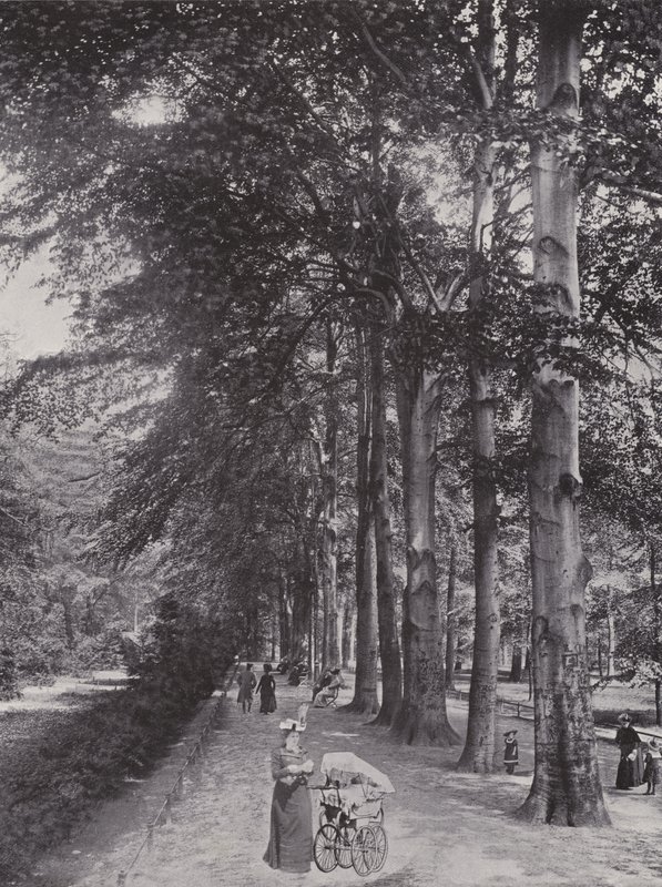 W Tiergarten, zacieniona ścieżka (zdjęcie czarno-białe) autorstwa Photographer German