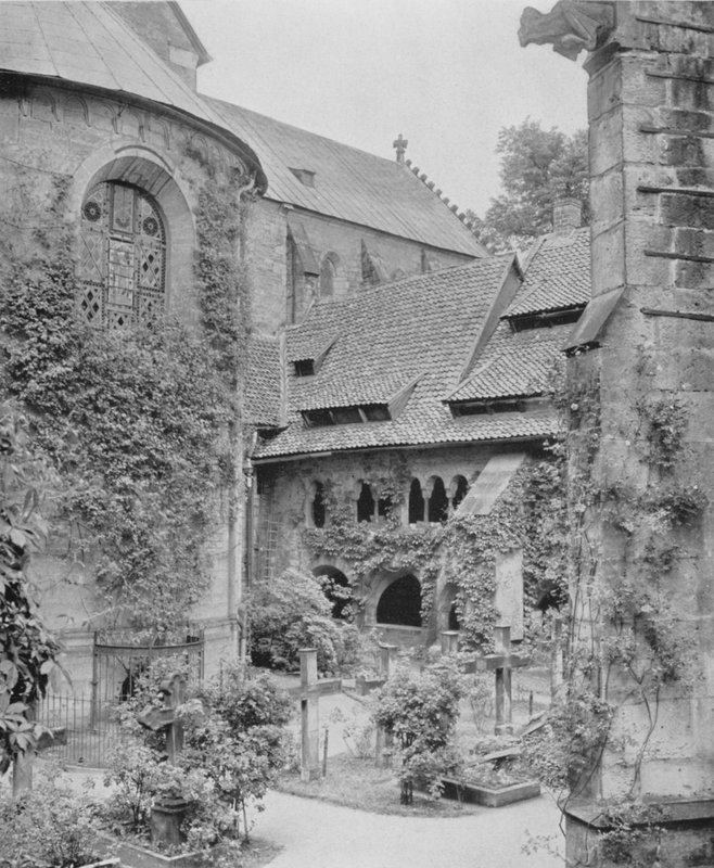 Tausendjahriger Rosenstock (b / w zdjęcie) autorstwa Photographer German