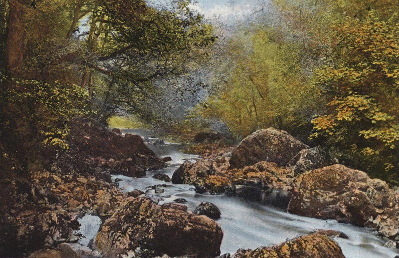 Irlandia: In The Dargle, hrabstwo Wicklow (kolorowe zdjęcie) autorstwa Photographer Irish