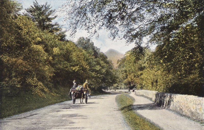 Irlandia: The Glen of the Downs, Sugar Loaf Mountain, hrabstwo Wicklow (kolorowe zdjęcie) autorstwa Photographer Irish