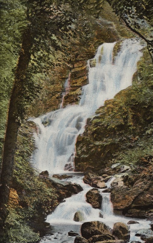 Irlandia Południowa: Torc Cascade, Killarney (kolorowe zdjęcie) autorstwa Photographer Irish