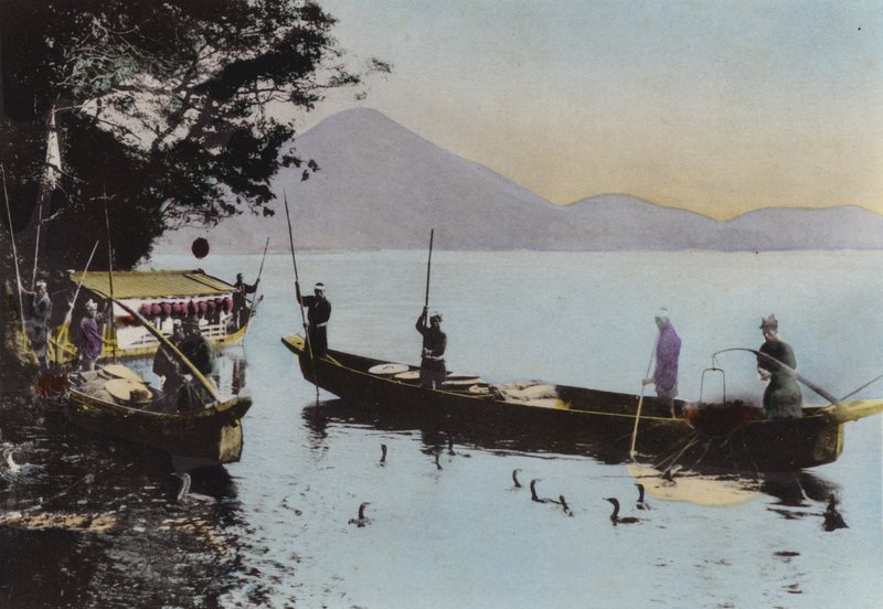 Japonia, ok. 1912: Łowienie z kormoranem, Nagaragawa (zdjęcie) autorstwa Photographer Japanese