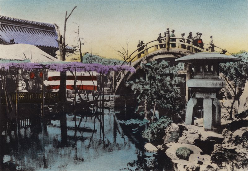 Japonia, ok. 1912: Teren świątyni Kameido, w którym w maju kwitnie Wisteria i most Drum Bridge (zdjęcie) autorstwa Photographer Japanese