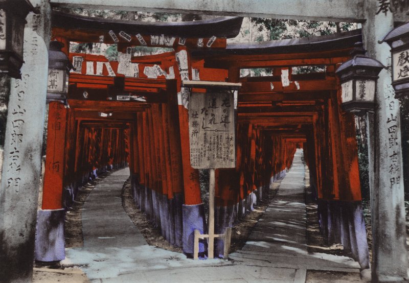 Japonia, ok. 1912: Torii Avenues, Sanktuarium Fushimi niedaleko Kioto (zdjęcie) autorstwa Photographer Japanese
