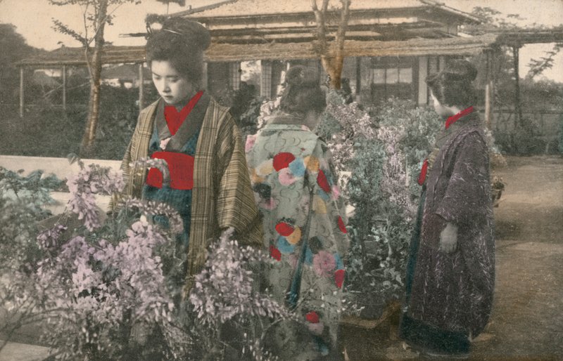 Japonki z glicyniami (kolorowe zdjęcie) autorstwa Photographer Japanese