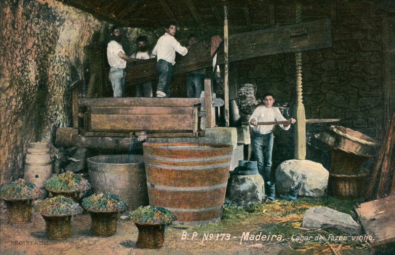 Prasa do wina, Madera, Portugalia (zdjęcie czarno-białe) autorstwa Photographer Portuguese