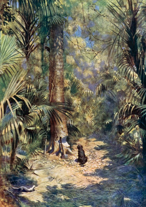 Ilustracja do Robinsona Crusoe autorstwa Daniela Defoe (kolor lito) autorstwa Ralph Noel Pocock