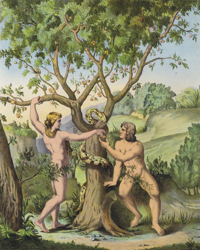 Ewa wręcza Adamowi jabłko z Drzewa Poznania Dobra i Zła (kolor lito) autorstwa after Raphael