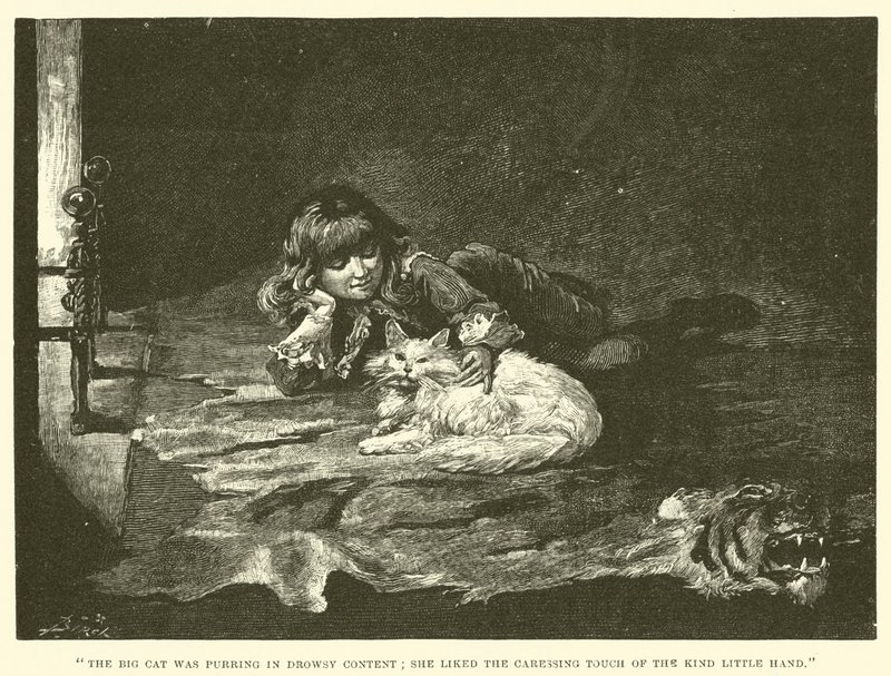 Ilustracja do Małego Lorda Fauntleroy autorstwa Reginald Bathurst Birch
