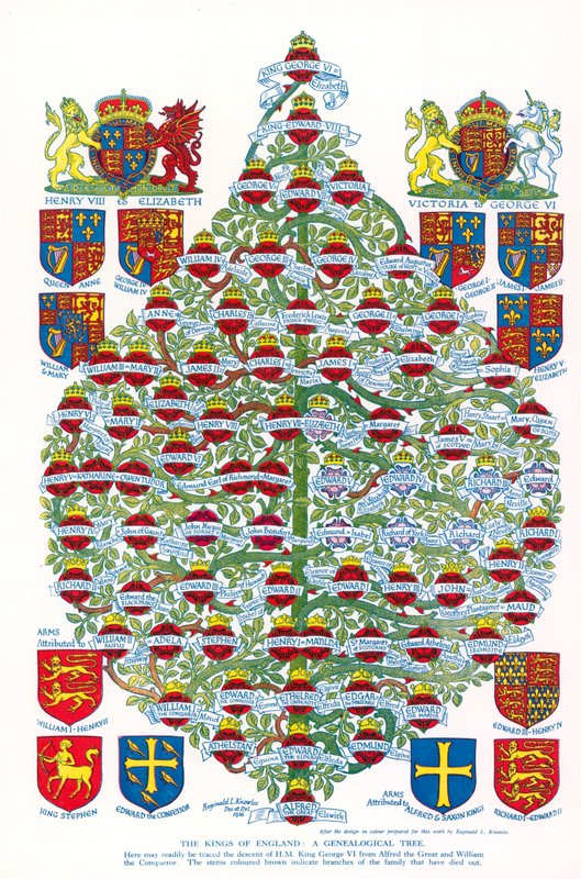 Królowie Anglii, drzewo genealogiczne (kolorowa litografia) autorstwa Reginald & Horace (1884 1954) Knowles