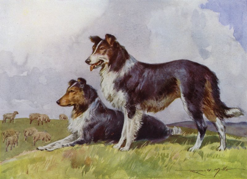 Ilustracja do My Farm (litografia kolorowa) autorstwa Reginald Mills
