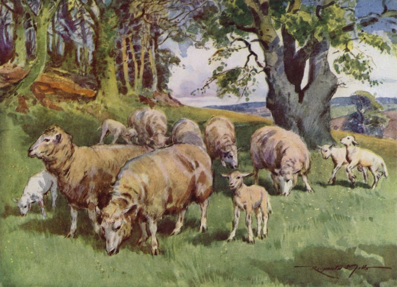 Ilustracja do My Farm (litografia kolorowa) autorstwa Reginald Mills
