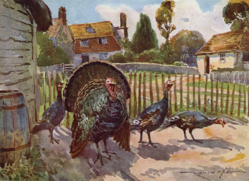 Ilustracja do My Farm (litografia kolorowa) autorstwa Reginald Mills