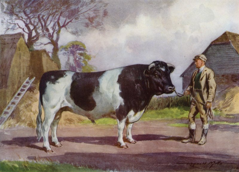 Ilustracja do My Farm (litografia kolorowa) autorstwa Reginald Mills