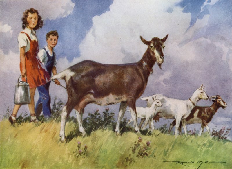 Ilustracja do My Farm (litografia kolorowa) autorstwa Reginald Mills