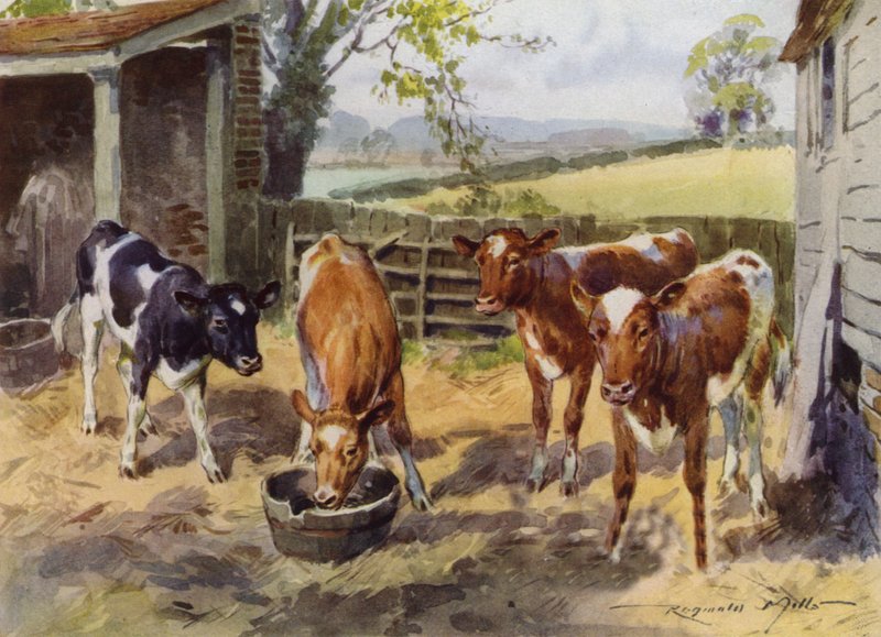 Ilustracja do My Farm (litografia kolorowa) autorstwa Reginald Mills