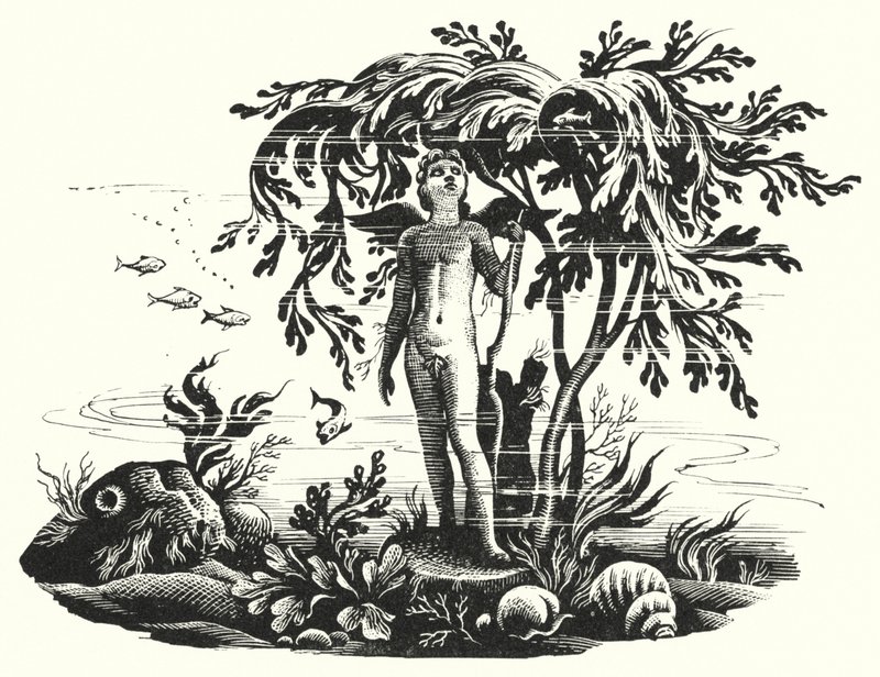 Hans Christian Andersen: Mała Syrenka (lito) autorstwa Rex (after) Whistler