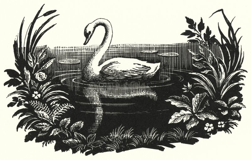 Hans Christian Andersen: Brzydkie kaczątko (lito) autorstwa Rex (after) Whistler