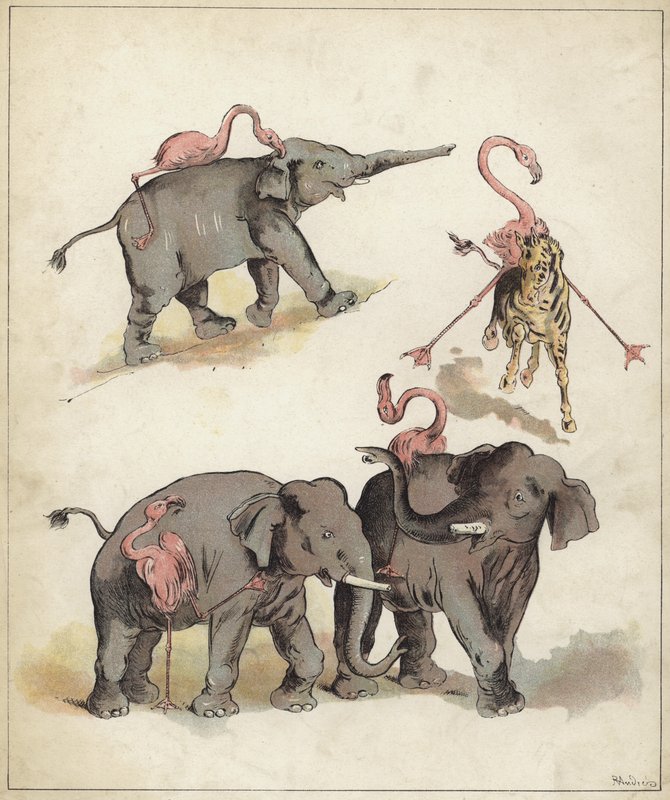 Słonie i flamingi (chromolitho) autorstwa Richard Andre