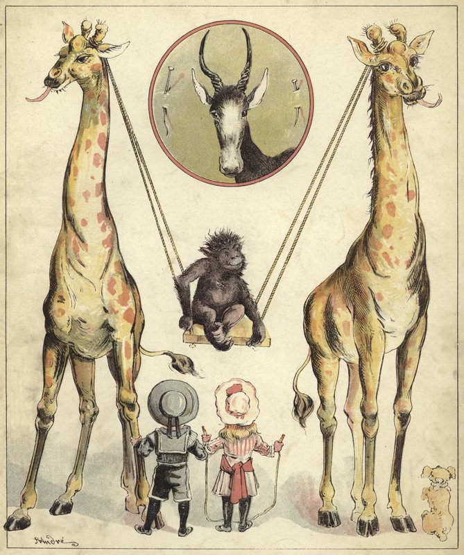Żyrafy bawiące się z małpą (chromolito) autorstwa Richard Andre