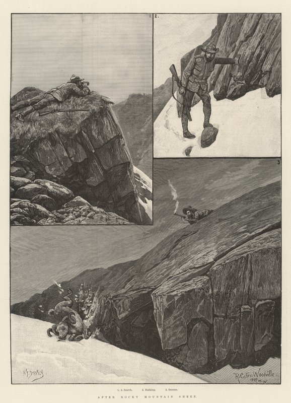 Po owcach z Gór Skalistych autorstwa Richard Caton Woodville junior