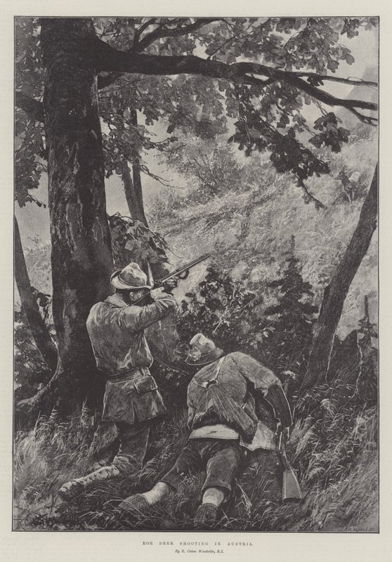 Strzelanie do saren w Austrii autorstwa Richard Caton Woodville junior