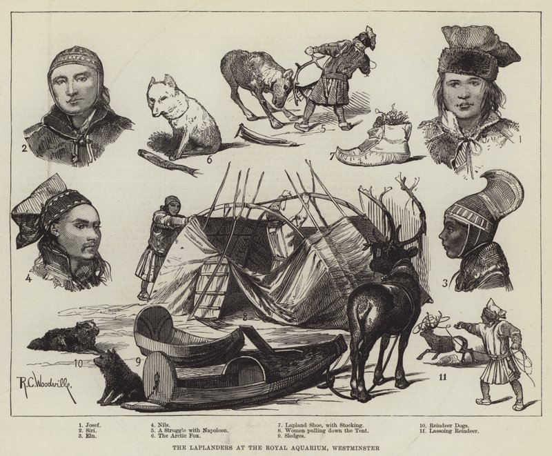 Lapończycy w Królewskim Akwarium, Westminster autorstwa Richard Caton Woodville junior