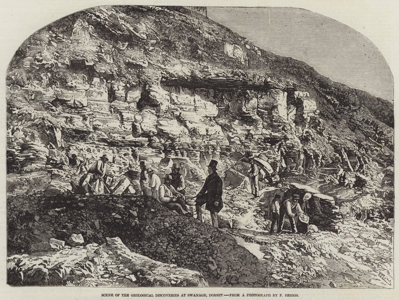 Scena z odkryć geologicznych w Swanage, Dorset autorstwa Richard Principal Leitch