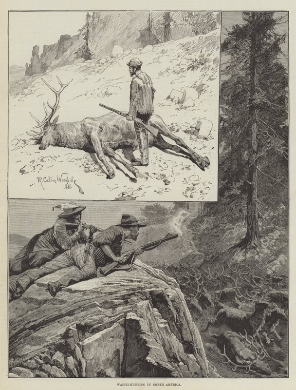 Wapiti-Hunting w Ameryce Północnej (grawerowanie) autorstwa Richard Caton II (after) Woodville