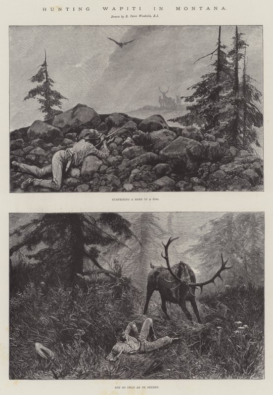 Polowanie na Wapiti w Montanie autorstwa Richard Caton Woodville junior