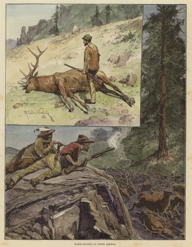 Polowanie na Wapiti w Ameryce Północnej autorstwa Richard Caton Woodville junior