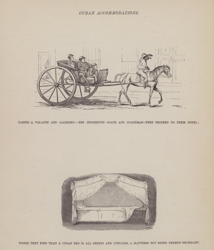 Strona z amerykańskiej trasy panów Browna, Jonesa i Robinsona (rycina) autorstwa Richard Doyle