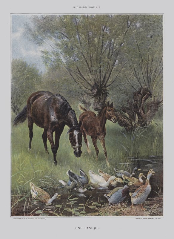 Panika autorstwa Richard Doyle